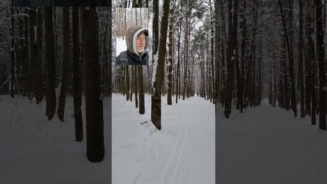 ?ОПараЗИтах&ПОпутЧИках??? смотреть онлайн