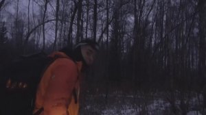 ВСТРЕТИЛ МЕДВЕДЯ! ВЫЖИВАНИЕ В БОЛОТАХ 24 ЧАСА