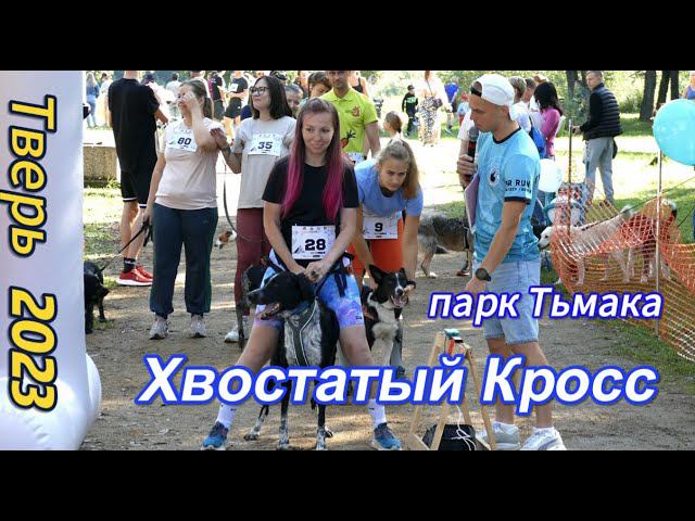Хвостатый Кросс в Твери 2023 (4К) #tver #хвостатыйкросс