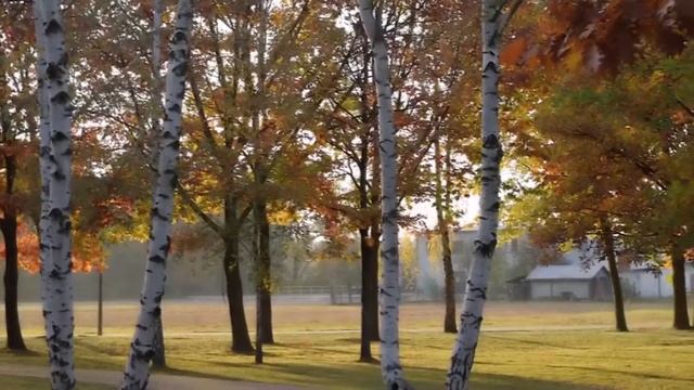 Встал ночью попить воды, как вдруг услышал голоса в спальне жены смотреть онлайн