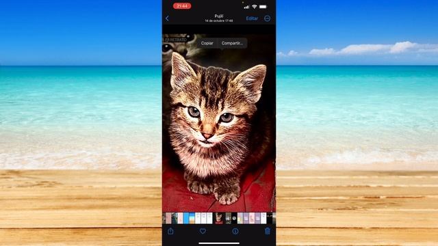 Cómo Quitar El Fondo De La Foto En IPhone
