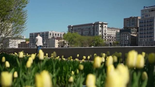 Электросамокат MIDWAY Yamato 0809 PRO