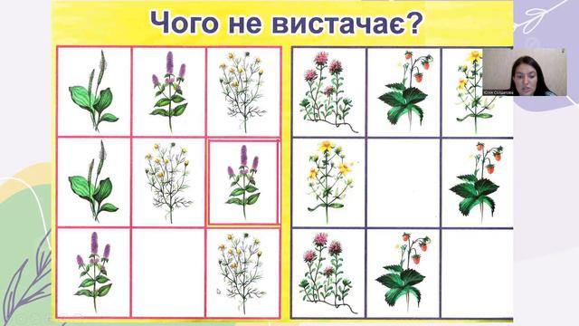 "Лікарські рослини" смотреть онлайн