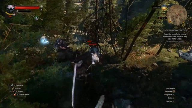 The Witcher 3: Succubus on Skellige смотреть онлайн