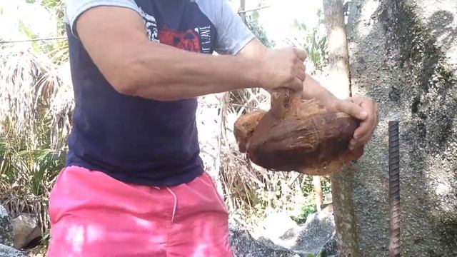 кокос разделка смотреть онлайн