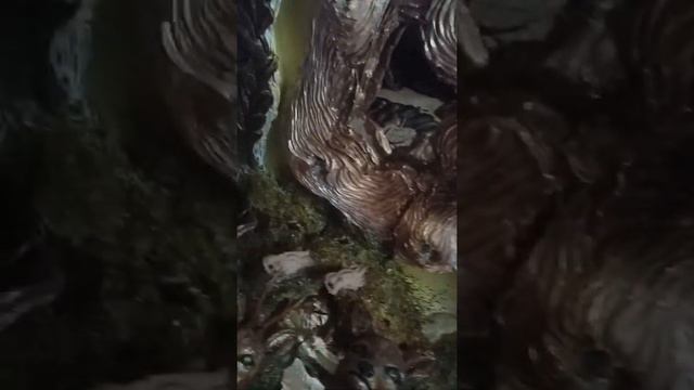 Барельеф на стене своимы руками смотреть онлайн