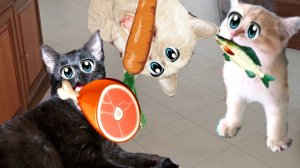 КОШАЧИЙ БАТЛ!!! Что  делают ПЬЯНЫЕ КОШКИ!!!