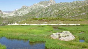 Роза Сулейманова - Любимый мой