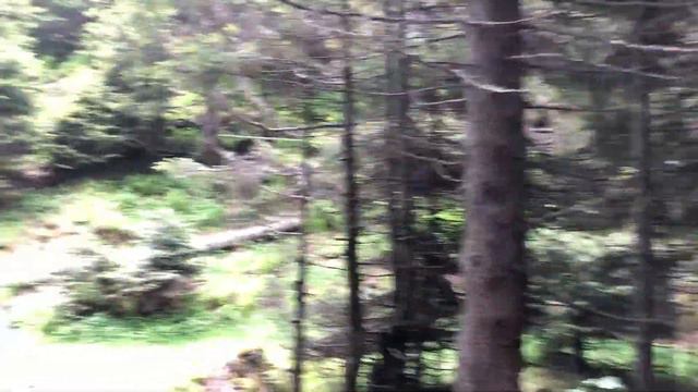 Поездка на водопад Grawa Alm, Штубай, Австрия смотреть онлайн