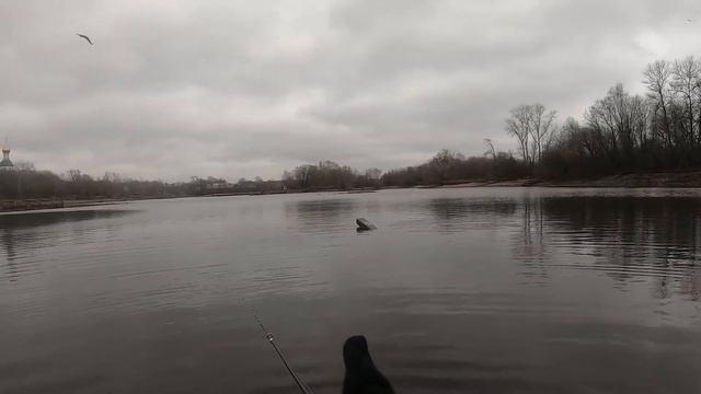 МОРМО КАСТИНГ в Печатниках 28.12.2019 смотреть онлайн