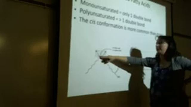 Elem Biochem Lipids Lecture смотреть онлайн