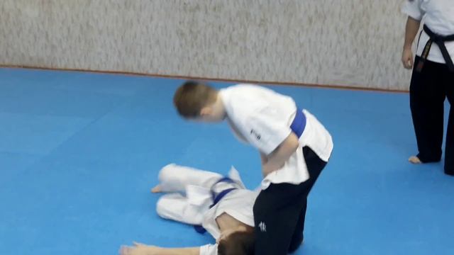 Семинар Броски и подсечки для спортсменов групп А и Б в Тайкан каратэ.. смотреть онлайн