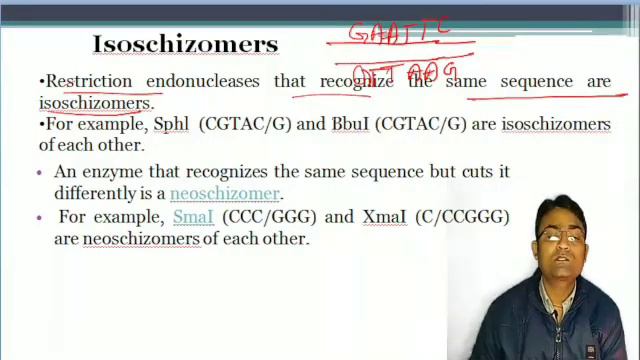 Enzymes used in genetic engineering, Enzymes used in cloning, cloning enzymes, #biotechnology смотреть онлайн