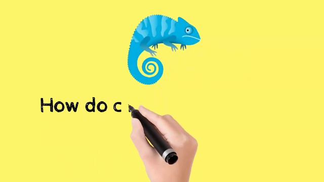 Interesting GK | General Knowledge | Interesting GK questions| Interesting Facts | смотреть онлайн