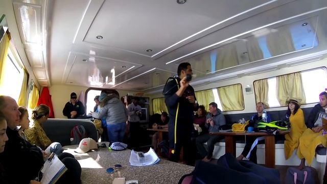 2017.01.04 Дайвинг с аквалангом в Египте - инструктаж для новичков смотреть онлайн