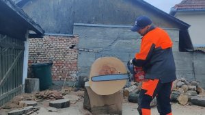 Stihl MS 661 C vs. Husqvarna 592 XP.