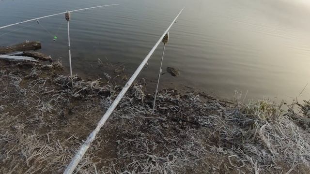 Рыбалка форели и щуки на платном водоёме.Каширском районе Кокино. смотреть онлайн