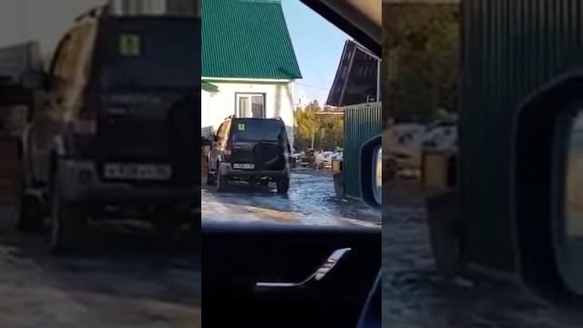медведь пришёл в гости смотреть онлайн