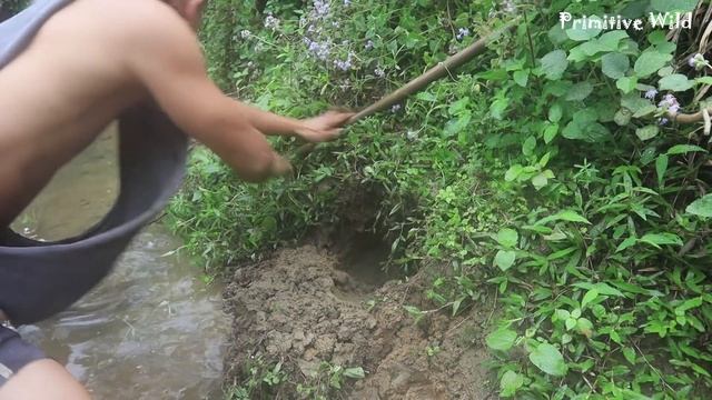Primitive life: Dig big hole find fish | Catch fish for survival смотреть онлайн