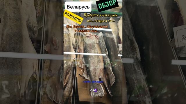 Беларусь - Обзор | санкции | полки пустые в магазине смотреть онлайн