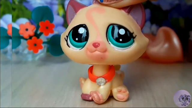 LPS: Лайфхаки "Как собрать большую коллекцию LPS , при этом не потратив денег" смотреть онлайн