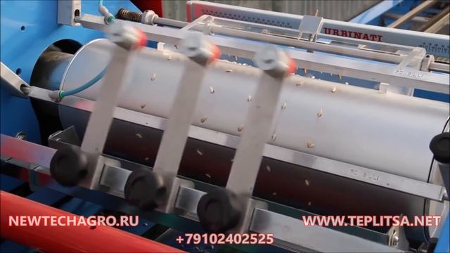 Линия для рассады посев семян рассады в кассеты смотреть онлайн