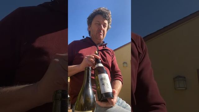 Dan talks up two wines from Olivia Brion смотреть онлайн