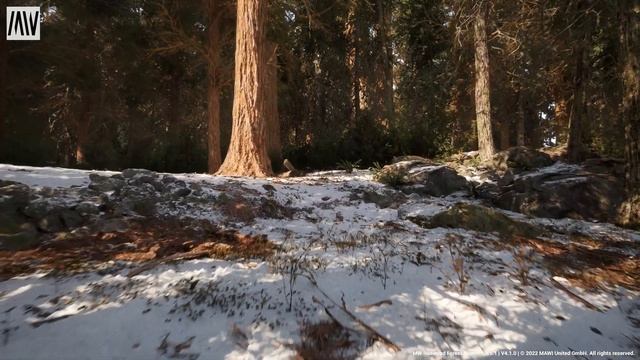 UE5.1 \\ Photorealistic Forest \\ 7900XTX + 7950X // Next Gen AMD Build // Neo G8 // 4K Very High смотреть онлайн