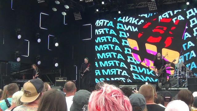Инкогнито - Курт Кобейн @ Дикая Мята 2024 смотреть онлайн