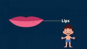 Learn Parts of Body |  Parts of Body Songs For Kids & Toddlers by cocomelon