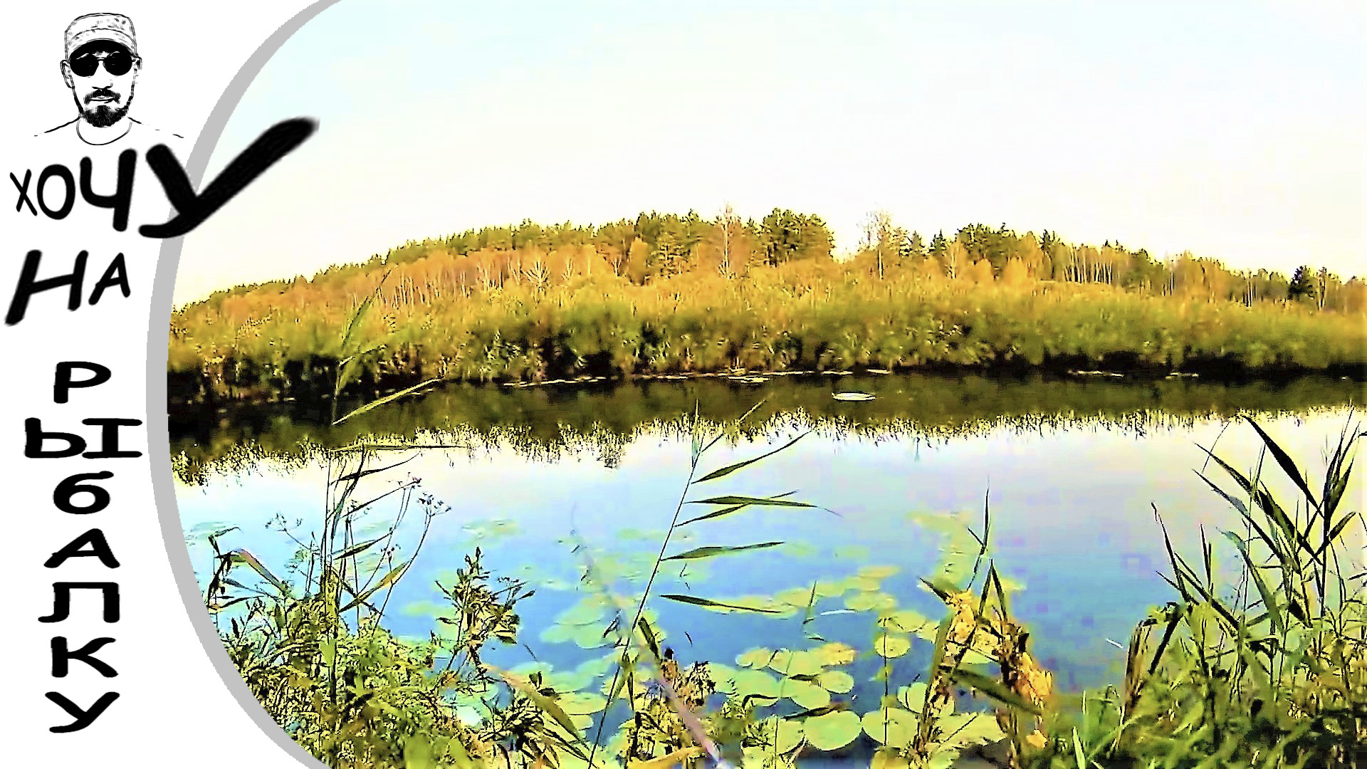 Осеннее утро. Щука лесной речки на воблеры. смотреть онлайн