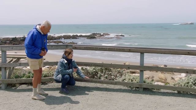 SOS Bei Den See-Elefanten | Reportage Für Kinder | Anna Und Die Wilden Tiere