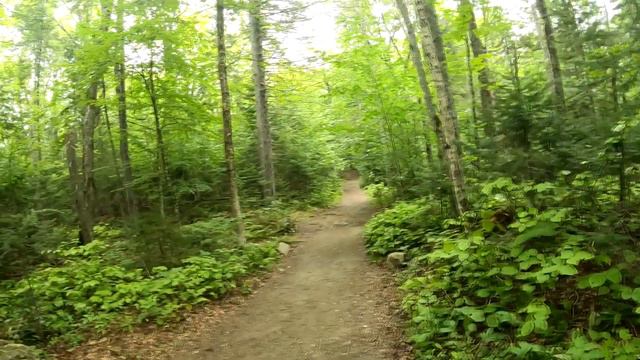 Relaxing Music - "Arrow:" A Integral Rav Vast, Mandolin смотреть онлайн