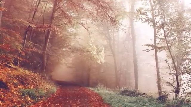 ЗОЛОТОЙ КОМПАС — ДЕКАБРЬ 2022 г. смотреть онлайн