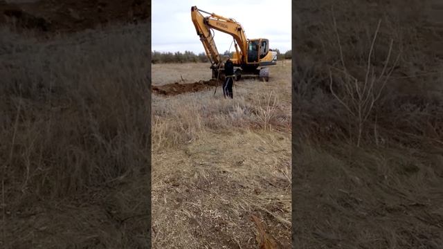 Удаляем корни с поля смотреть онлайн