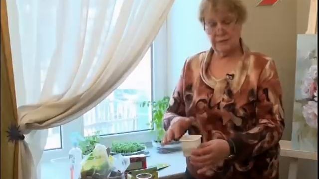 Строительные Консультации