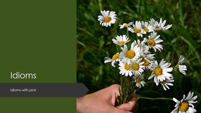 Pick Phrasal Verbs and Idioms - Activate Your English Skills смотреть онлайн