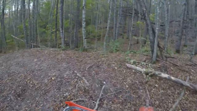 Регульмот Атлет смотреть онлайн