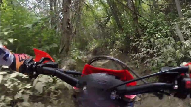 2023 Beta 300RR Race Edition TWO STROKE смотреть онлайн