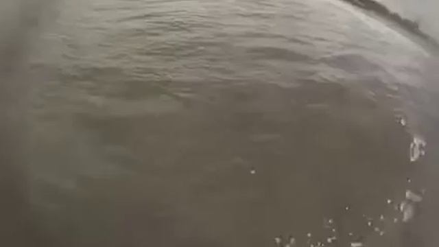 Surf Atlântida Fev 2015 смотреть онлайн