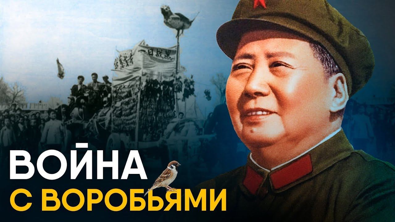 Китай против воробьев - самый страшный голод XX века. смотреть онлайн