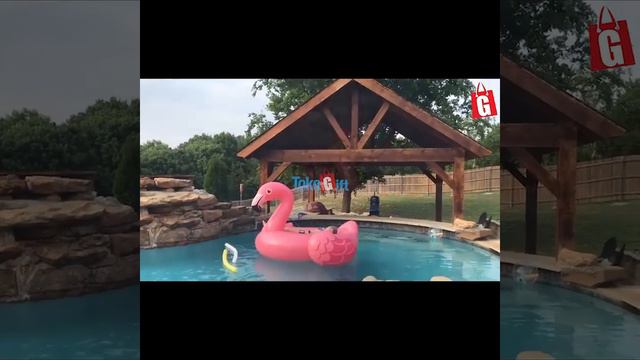Плотик детский Pink Flamingo Ride On Floaties INTEX 57558 смотреть онлайн