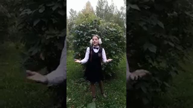 А.С.Пушкин "Осень" на украинском языке смотреть онлайн