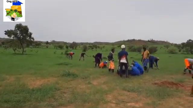 Production de 40 000 plants d'acacia sénégalais dans quelques pépinières villageoises смотреть онлайн