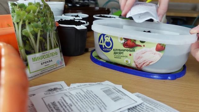 Кака -а-я вкусная ГЕРРРррАНЬ! ИЛИ как я выращиваю МИКРОЗЕЛЕНЬ! смотреть онлайн
