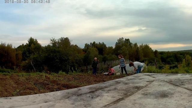 Хотите посмотреть наш урожай заходите на наше видео смотреть онлайн