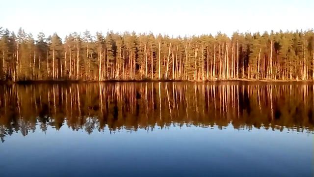 Озеро Лебяжье. Петяярви. смотреть онлайн