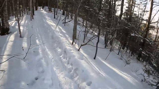 Январские обгонялки 2023, забег на гору Фалаза, высота 1279 метров. смотреть онлайн