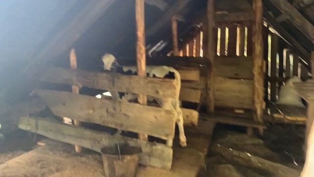 В горы на джипах | Дача министра Экологии | Мала Рокита | Старый шорох | Экстремальные качели| смотреть онлайн