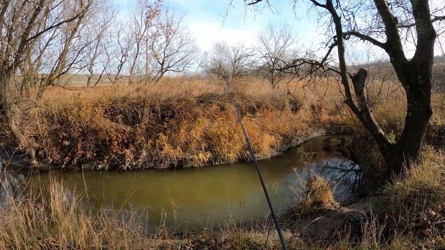 УСАЧ В НОЯБРЕ ПО ХОЛОДНОЙ ВОДЕ РЫБАЛКА2023 НА ДОНКУ! смотреть онлайн